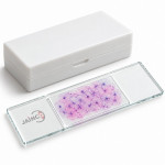 Plain Flat Epithelium